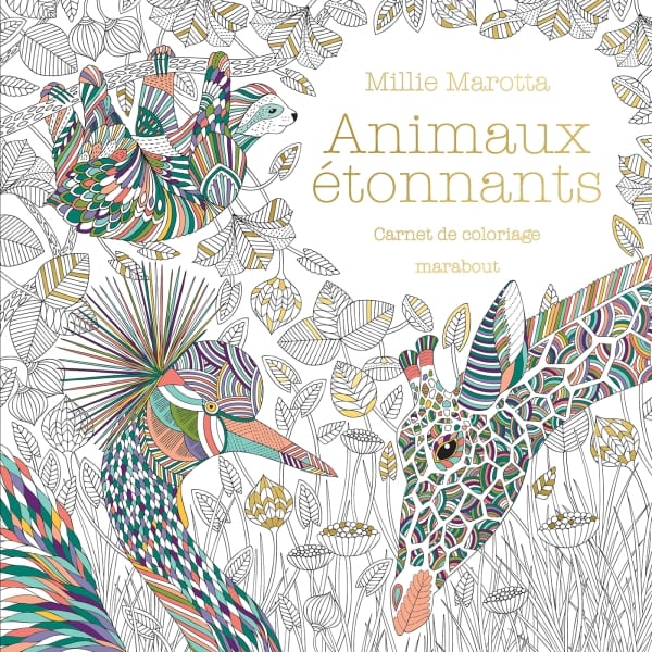 Couverture du livre Animaux étonnants
